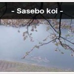 Sasebo