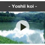 yoshii