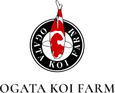 Ogata Koi Farm Co., ltd.