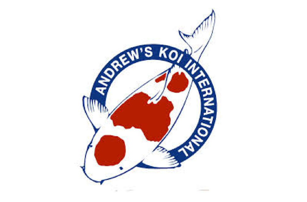 Andrew’s Koi