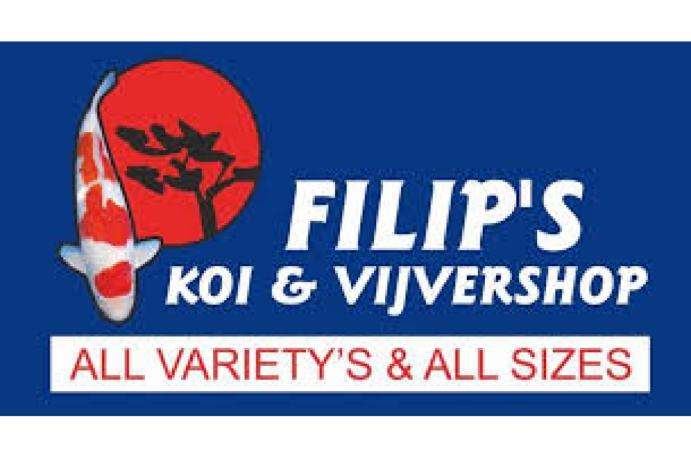 Filip’s Koi