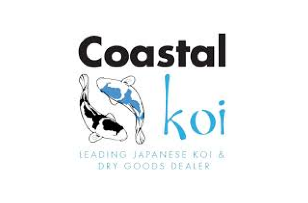 Coastal Koi