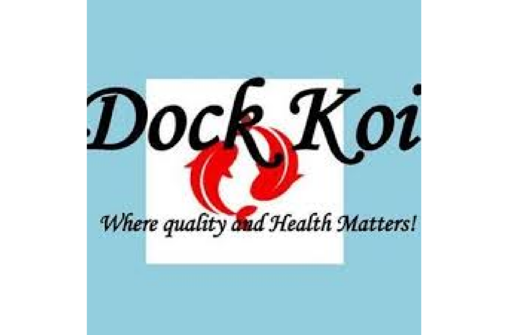 Dock Koi