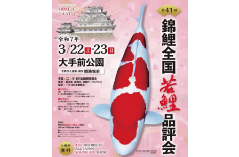 We have uploaded prized koi in AJYKS 2025 !!