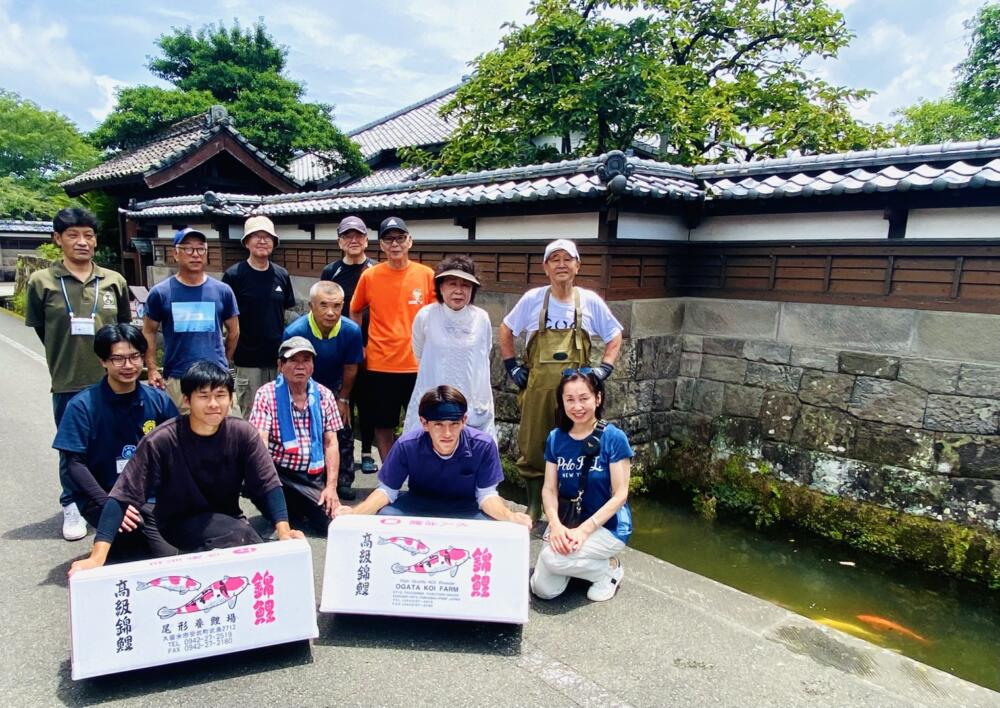 日南市で錦鯉を放流いたしました